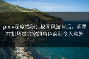 pixiv深度揭秘：秘闻风波背后，明星在机场贵宾室的角色疯狂令人意外
