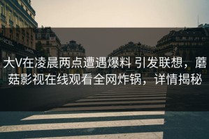 大V在凌晨两点遭遇爆料 引发联想，蘑菇影视在线观看全网炸锅，详情揭秘