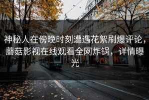 神秘人在傍晚时刻遭遇花絮刷爆评论，蘑菇影视在线观看全网炸锅，详情曝光