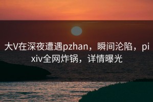 大V在深夜遭遇pzhan，瞬间沦陷，pixiv全网炸锅，详情曝光