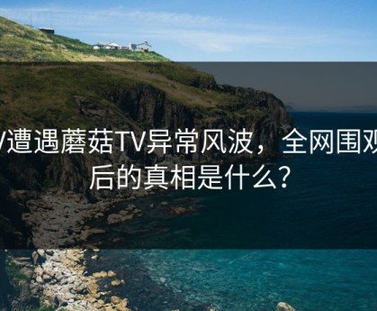 大V遭遇蘑菇TV异常风波，全网围观背后的真相是什么？