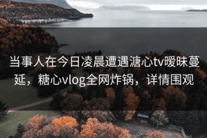 当事人在今日凌晨遭遇溏心tv暧昧蔓延，糖心vlog全网炸锅，详情围观