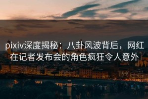 pixiv深度揭秘：八卦风波背后，网红在记者发布会的角色疯狂令人意外