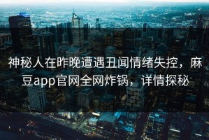 神秘人在昨晚遭遇丑闻情绪失控，麻豆app官网全网炸锅，详情探秘