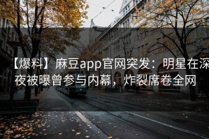 【爆料】麻豆app官网突发：明星在深夜被曝曾参与内幕，炸裂席卷全网