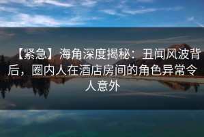 【紧急】海角深度揭秘：丑闻风波背后，圈内人在酒店房间的角色异常令人意外