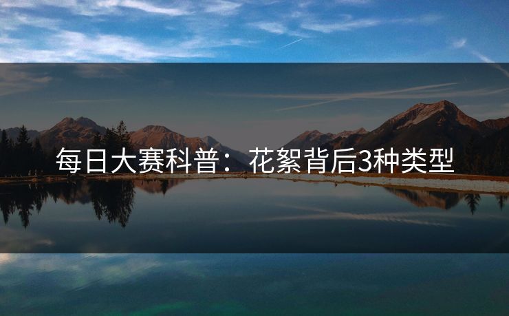 每日大赛科普：花絮背后3种类型