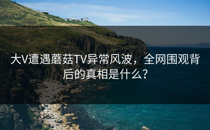 大V遭遇蘑菇TV异常风波,全网围观背后的真相是什么? 大V遭遇蘑菇TV异常风波,全网围观背后的真相是什么?