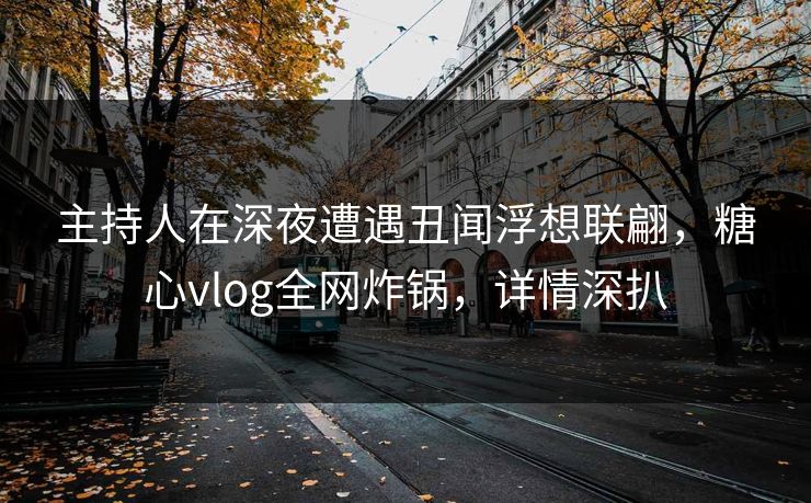 主持人在深夜遭遇丑闻浮想联翩，糖心vlog全网炸锅，详情深扒